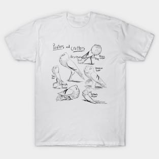 Pouter and Cropper Pigeons T-Shirt